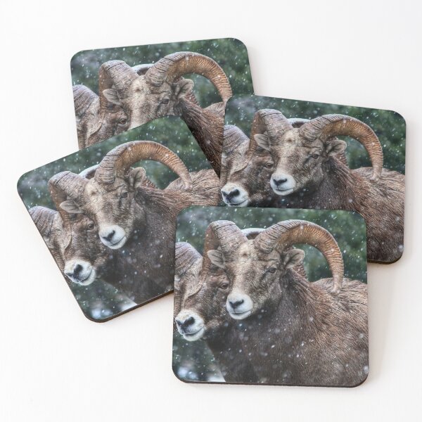 Item preview, Bighorn Brothers - The Kootenays designed and sold by James (820Photography) Anderson.