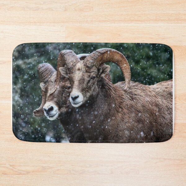Item preview, Bighorn Brothers - The Kootenays designed and sold by James (820Photography) Anderson.