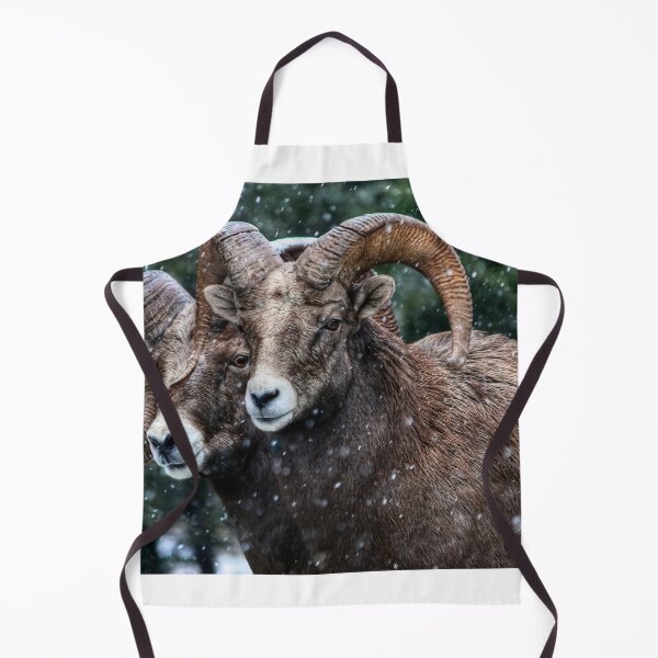 Item preview, Bighorn Brothers - The Kootenays designed and sold by James (820Photography) Anderson.