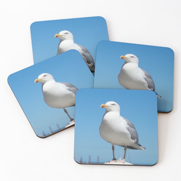 Item preview, White seagull designed and sold by Torsten  Krüger.