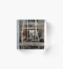 Looking In Acrylic Block