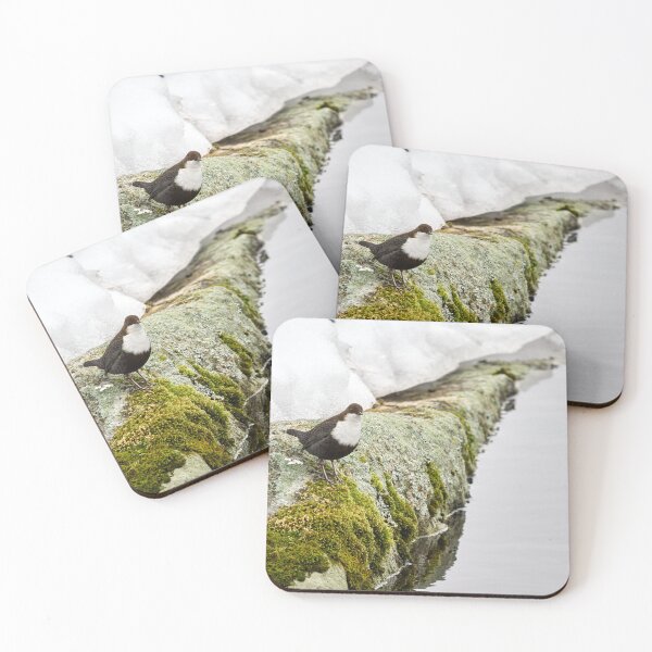 Item preview, On the stonewall. White-throated dipper designed and sold by Jouko Lehto Photography.