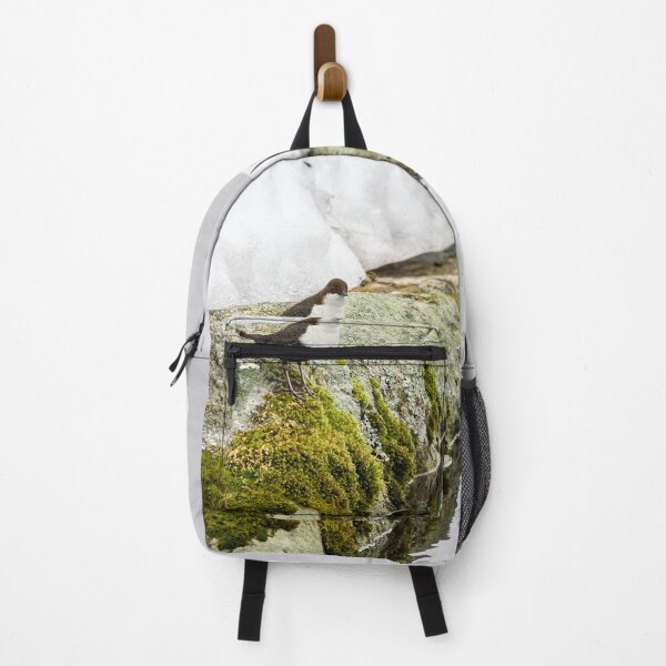 Item preview, On the stonewall. White-throated dipper designed and sold by Jouko Lehto Photography.