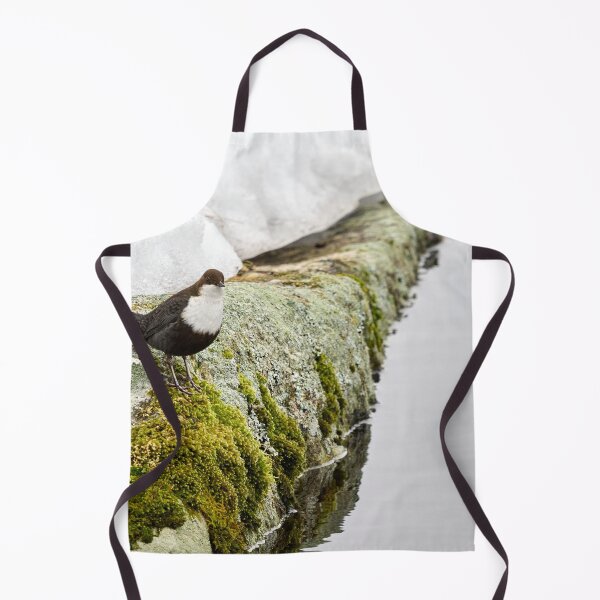 Item preview, On the stonewall. White-throated dipper designed and sold by Jouko Lehto Photography.