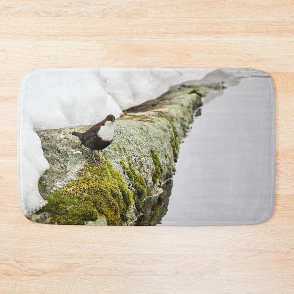 Item preview, On the stonewall. White-throated dipper designed and sold by Jouko Lehto Photography.