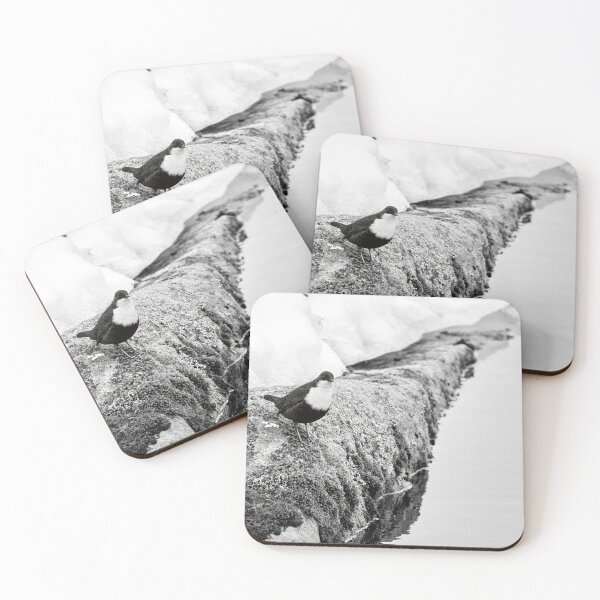 Item preview, On the stonewall. White-throated dipper bw designed and sold by Jouko Lehto Photography.