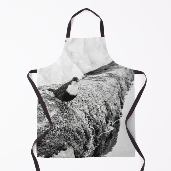 Item preview, On the stonewall. White-throated dipper bw designed and sold by Jouko Lehto Photography.