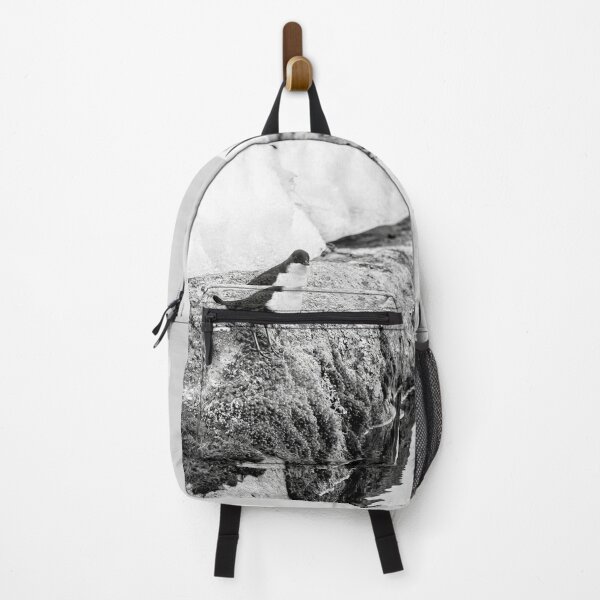 Item preview, On the stonewall. White-throated dipper bw designed and sold by Jouko Lehto Photography.
