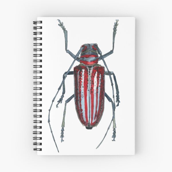 Item preview, Blue red striped beetle with long feelers designed and sold by Nicole Pustelny.