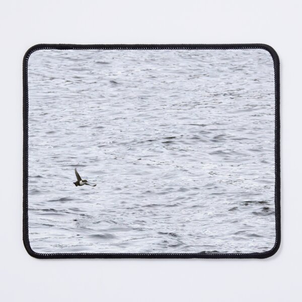 Item preview, Fly minimal. White-throated dipper designed and sold by Jouko Lehto Photography.