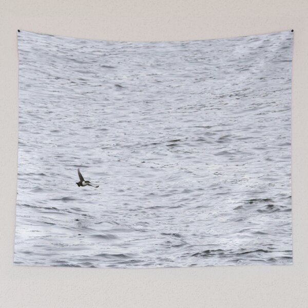 Item preview, Fly minimal. White-throated dipper designed and sold by Jouko Lehto Photography.