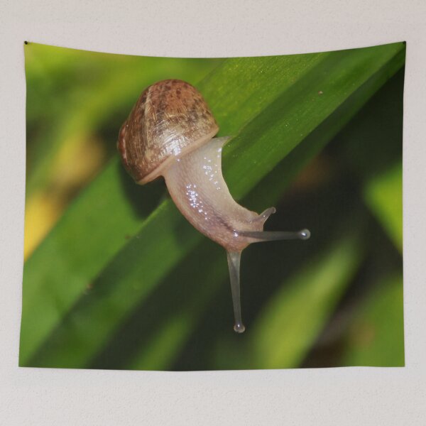 Item preview, Slither & Slide Baby Snail designed and sold by AnnDixon.