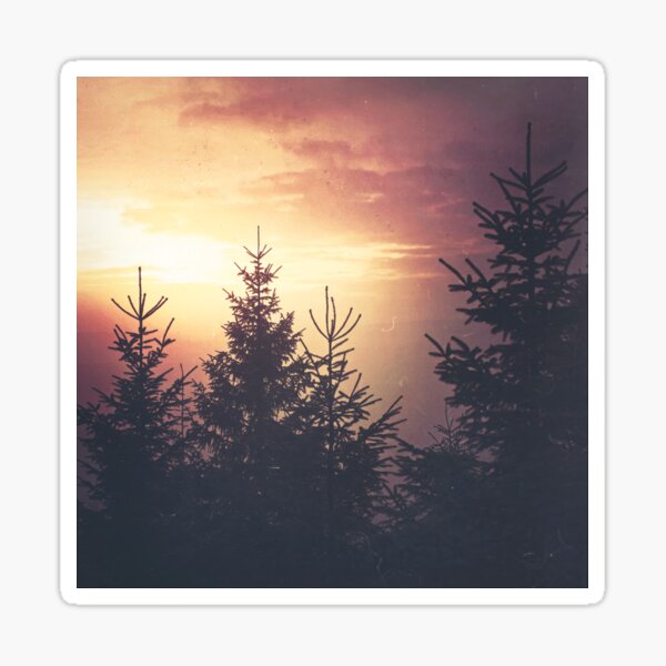 Item preview, Where The Light Shines Through // Romantasy Summer Sunset Forest With Cascadia Trees Covered In Magic Warm Sun Light designed and sold by Tordis Kayma.