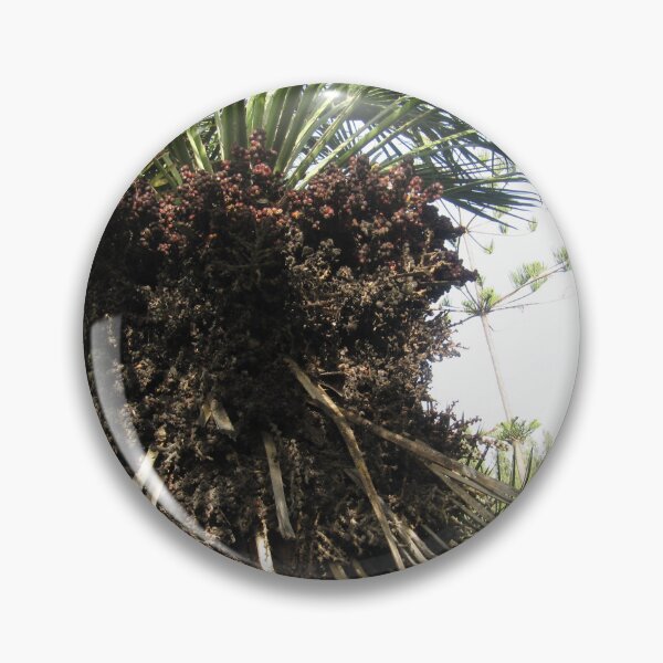 Item preview, palm with fruits  in montazah arden designed and sold by sadeek1021953Ss.