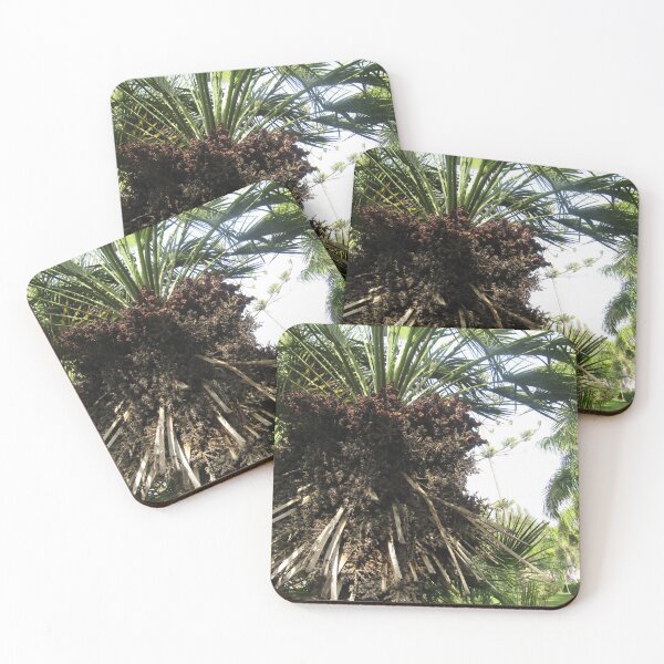 Item preview, palm with fruits  in montazah arden designed and sold by sadeek1021953Ss.