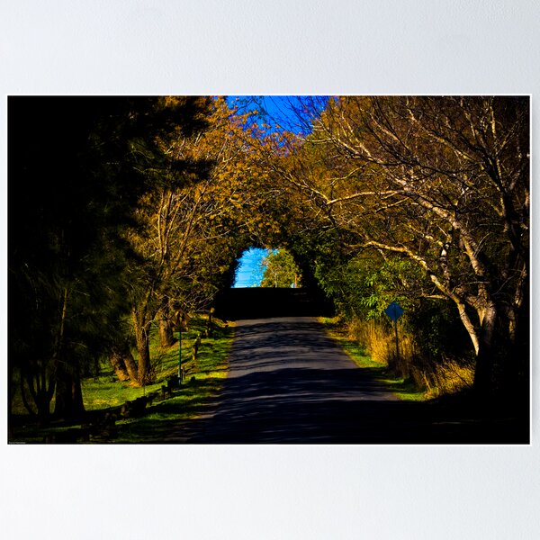 Item preview, Autumn's Tunnel designed and sold by David Petranker.