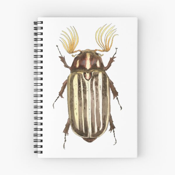 Item preview, Brown junic beetle designed and sold by Nicole Pustelny.