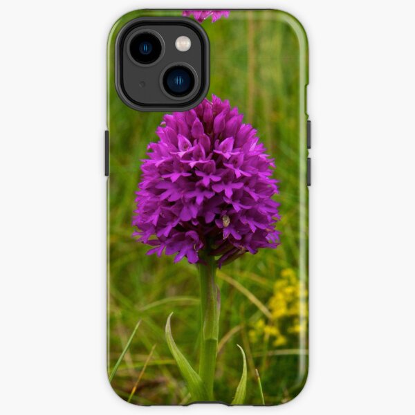 Pyramidal Orchid - iPhone Case iPhone Tough Case