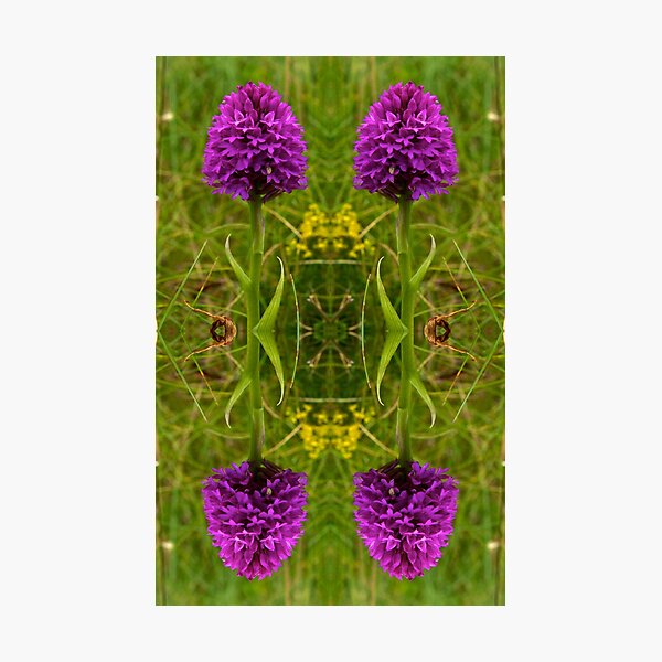 Pyramidal Orchid - iPhone Case Photographic Print
