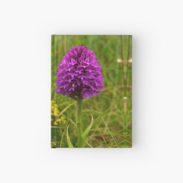 Pyramidal Orchid - iPhone Case Hardcover Journal