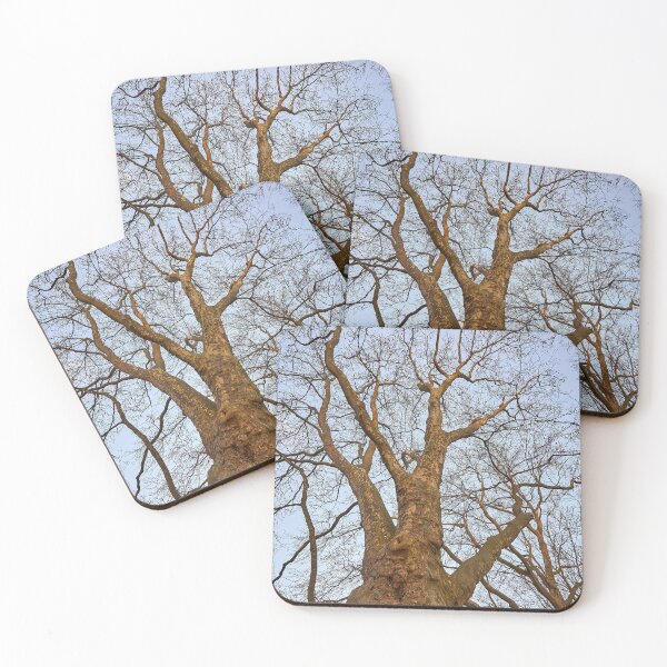 Item preview, Big old tree designed and sold by ThomasFoto.
