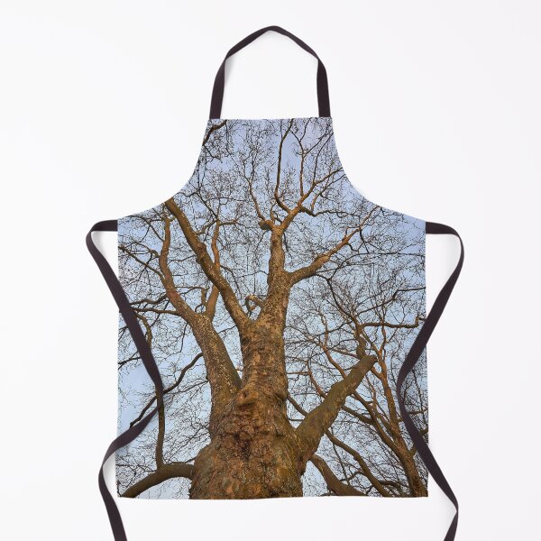 Item preview, Big old tree designed and sold by ThomasFoto.