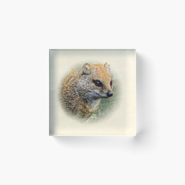 Item preview, Yellow mongoose designed and sold by Guardi71.