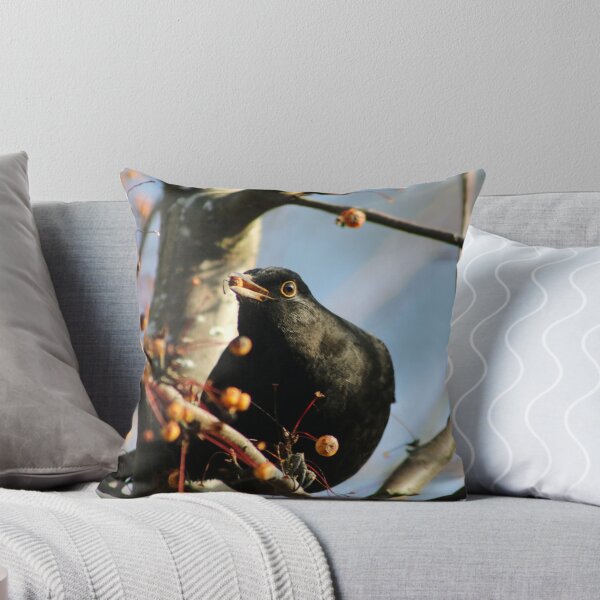 Artikelvorschau, Blackbird-Herumsuchen entworfen und verkauft von GreyFeatherPhot.