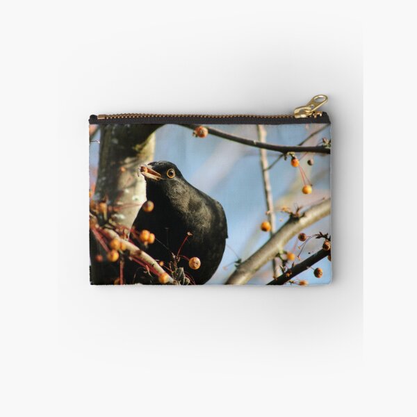 Artikelvorschau, Blackbird-Herumsuchen entworfen und verkauft von GreyFeatherPhot.