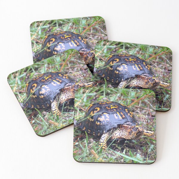 Item preview, Eastern Box Turtle on a Rainy Day designed and sold by gistinker.