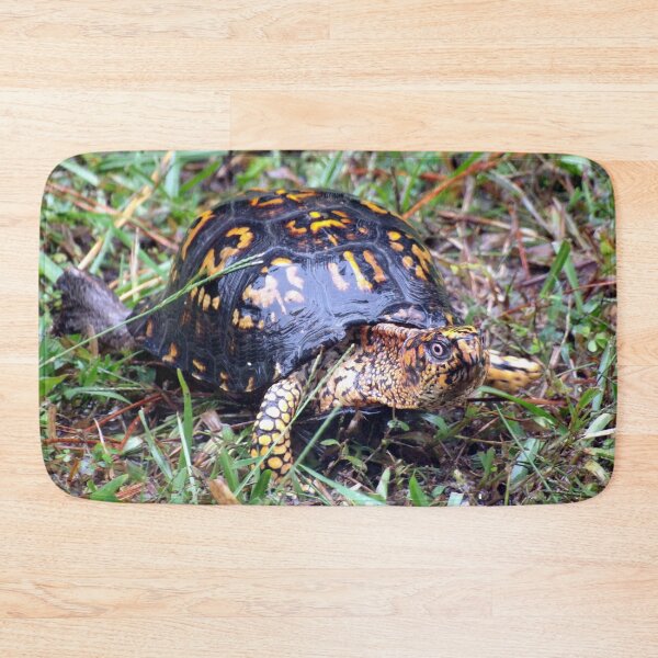 Item preview, Eastern Box Turtle on a Rainy Day designed and sold by gistinker.