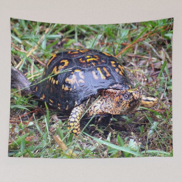 Item preview, Eastern Box Turtle on a Rainy Day designed and sold by gistinker.