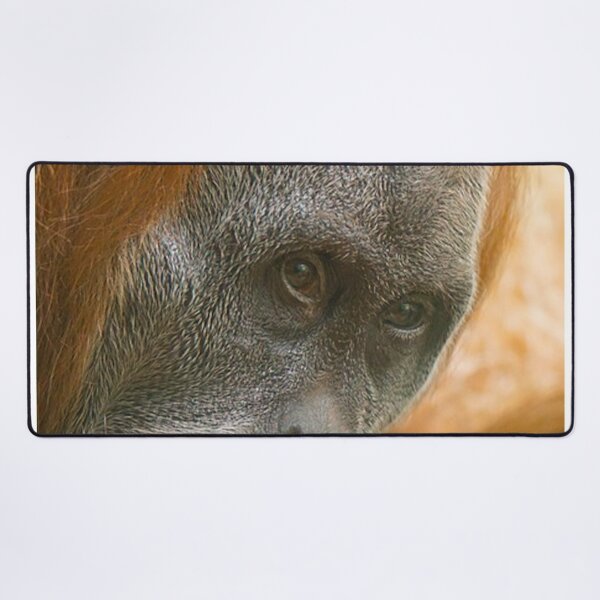Item preview, ORANGUTAN OF BORNEO designed and sold by alitvfilm.