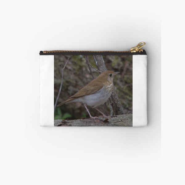 Item preview, Gray Cheeked Thrush designed and sold by Mike Cicero.