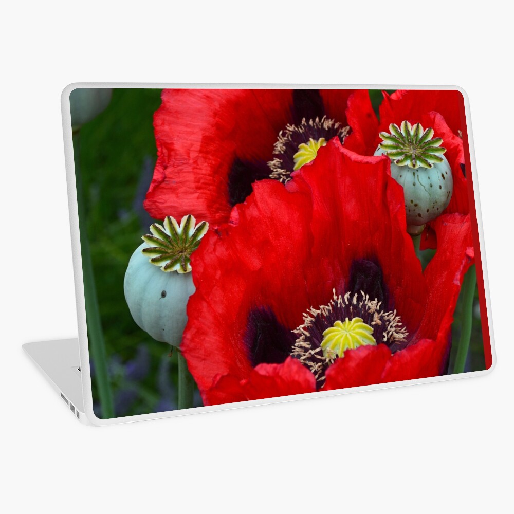 Red poppy flowers Laptop Skin