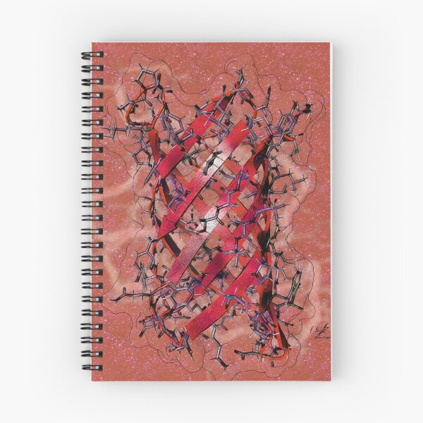 Item preview, Beta barrel protein designed and sold by Francisco J. Enguita.