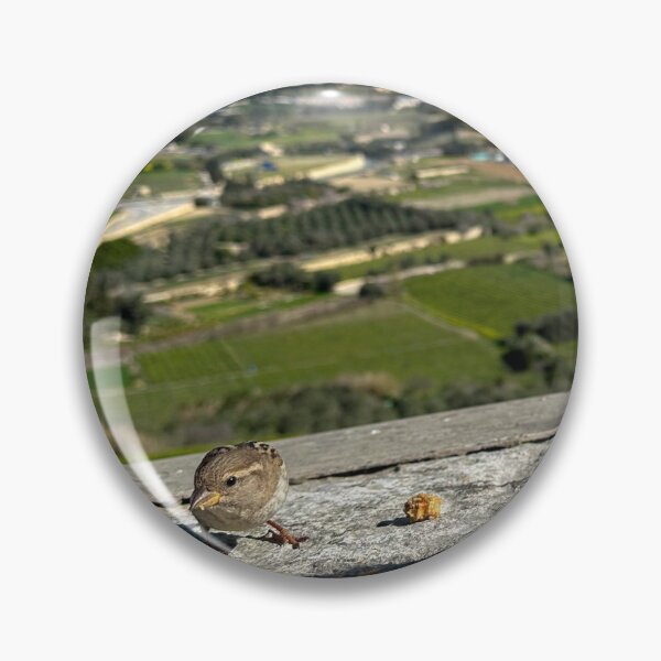 Item preview, Sparrow (Passer domesticus) designed and sold by Graz-Photos.