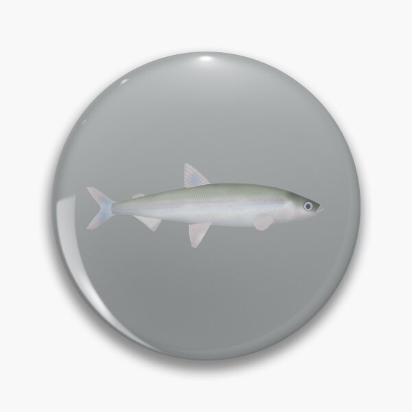 Item preview, Rainbow Smelt designed and sold by fishfolkart.