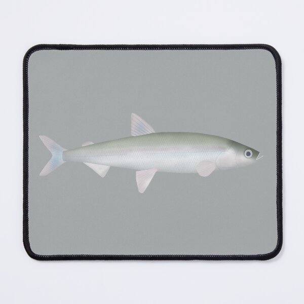 Item preview, Rainbow Smelt designed and sold by fishfolkart.