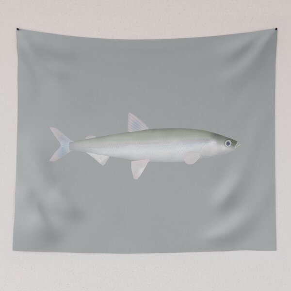 Item preview, Rainbow Smelt designed and sold by fishfolkart.