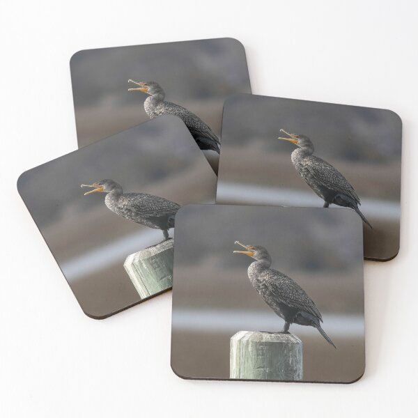 Item preview, American Cormorant designed and sold by Tom3Piorkowski.