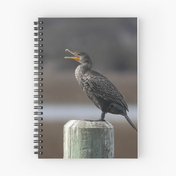 Item preview, American Cormorant designed and sold by Tom3Piorkowski.