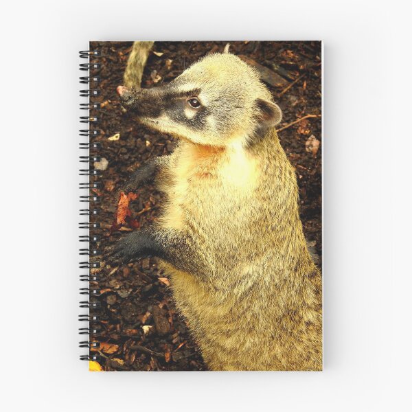 Item preview, Standing Coati designed and sold by Barnbk02.