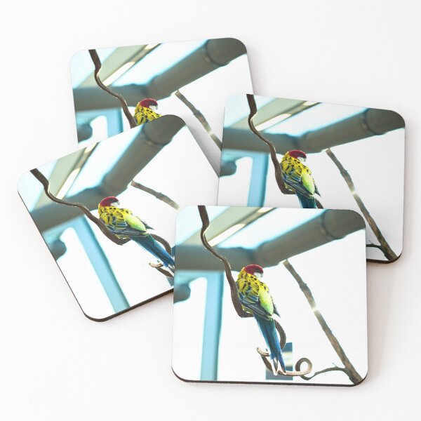 Item preview, Eastern rosella in the sun designed and sold by Lena's Proud :).
