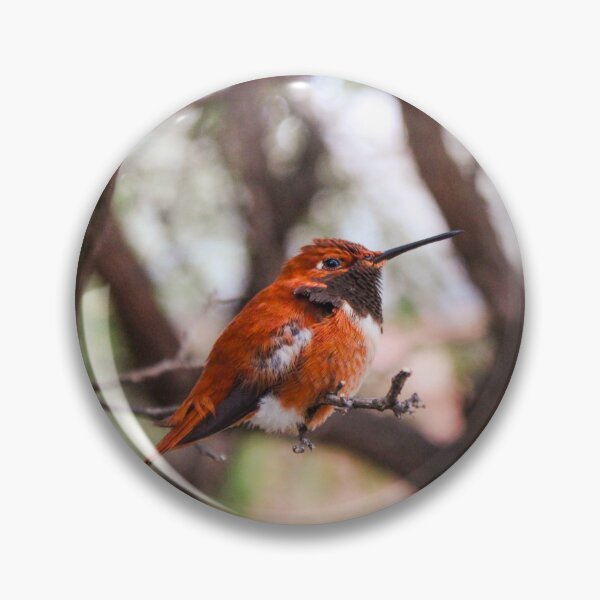 Item preview, Rufous hummingbird (Selasphorus rufus) designed and sold by granolagracie.