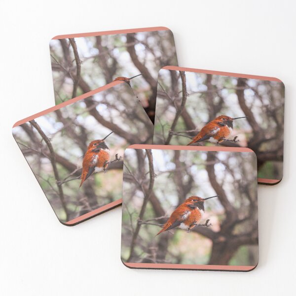 Item preview, Rufous hummingbird (Selasphorus rufus) designed and sold by granolagracie.