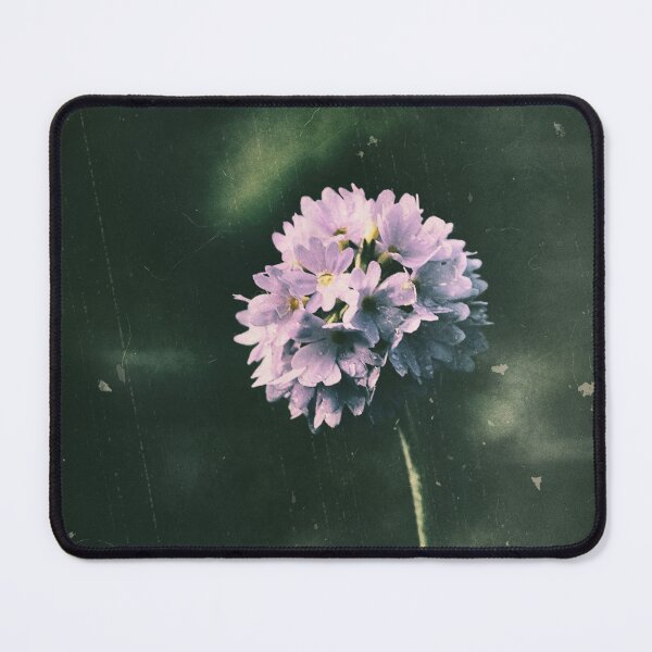 Item preview, Vintage Primula designed and sold by ElderIslesPress.