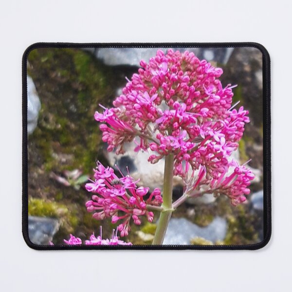 Item preview, Pink Flower, Flint Wall designed and sold by amanda150771.