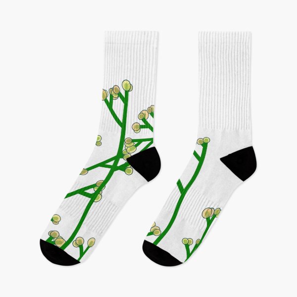 Item preview, Trees in the Forest designed and sold by CodeArtAfrik.