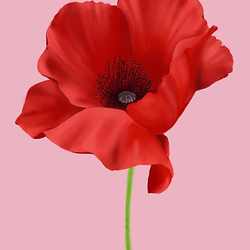 Artwork thumbnail, Poppy by LCooperDesign